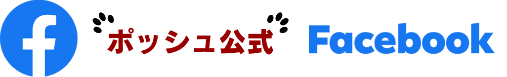 facebook / トイプードル販売のポッシュ横浜